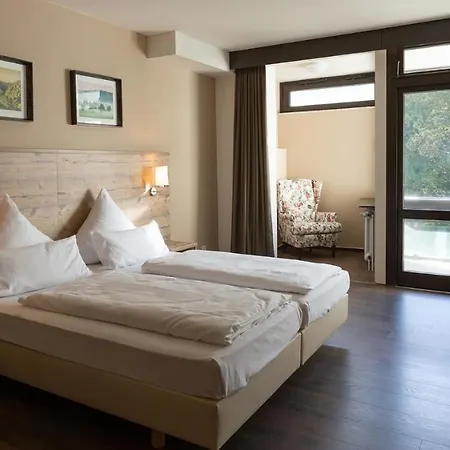 Luisenpark 호텔 3*