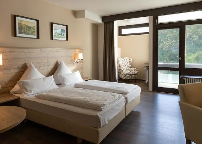 Luisenpark מלון 3*