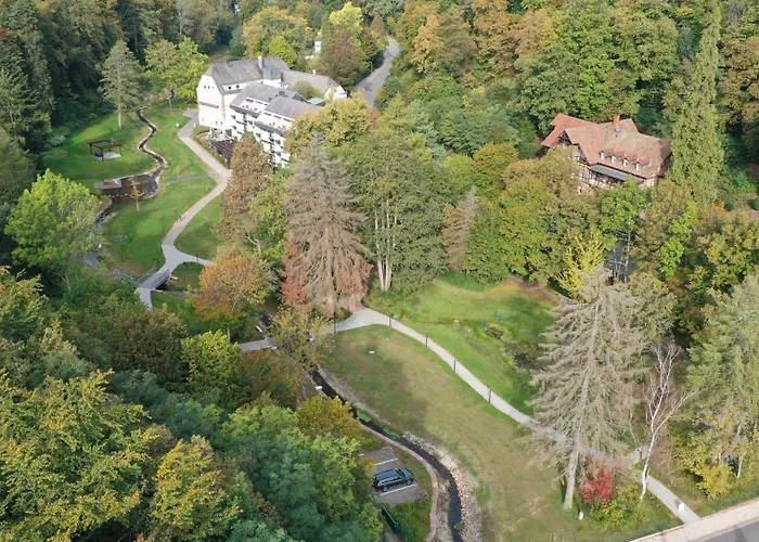 Luisenpark מלון באד ברגזברן