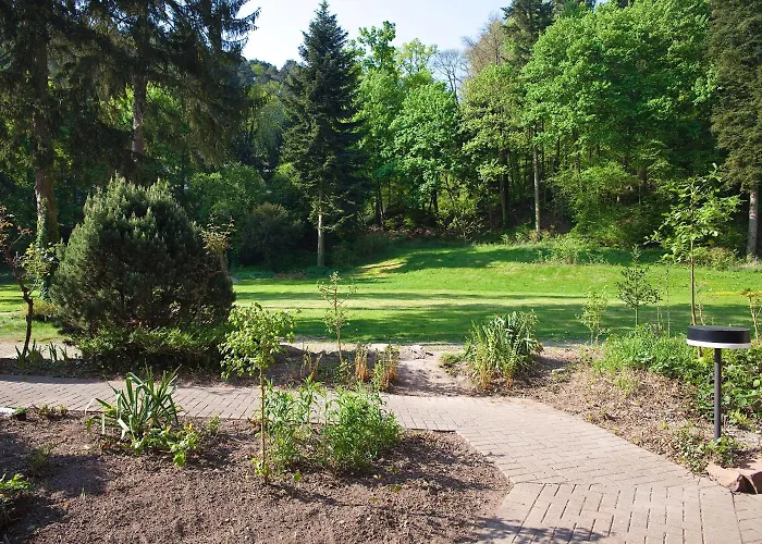 Luisenpark מלון 3*